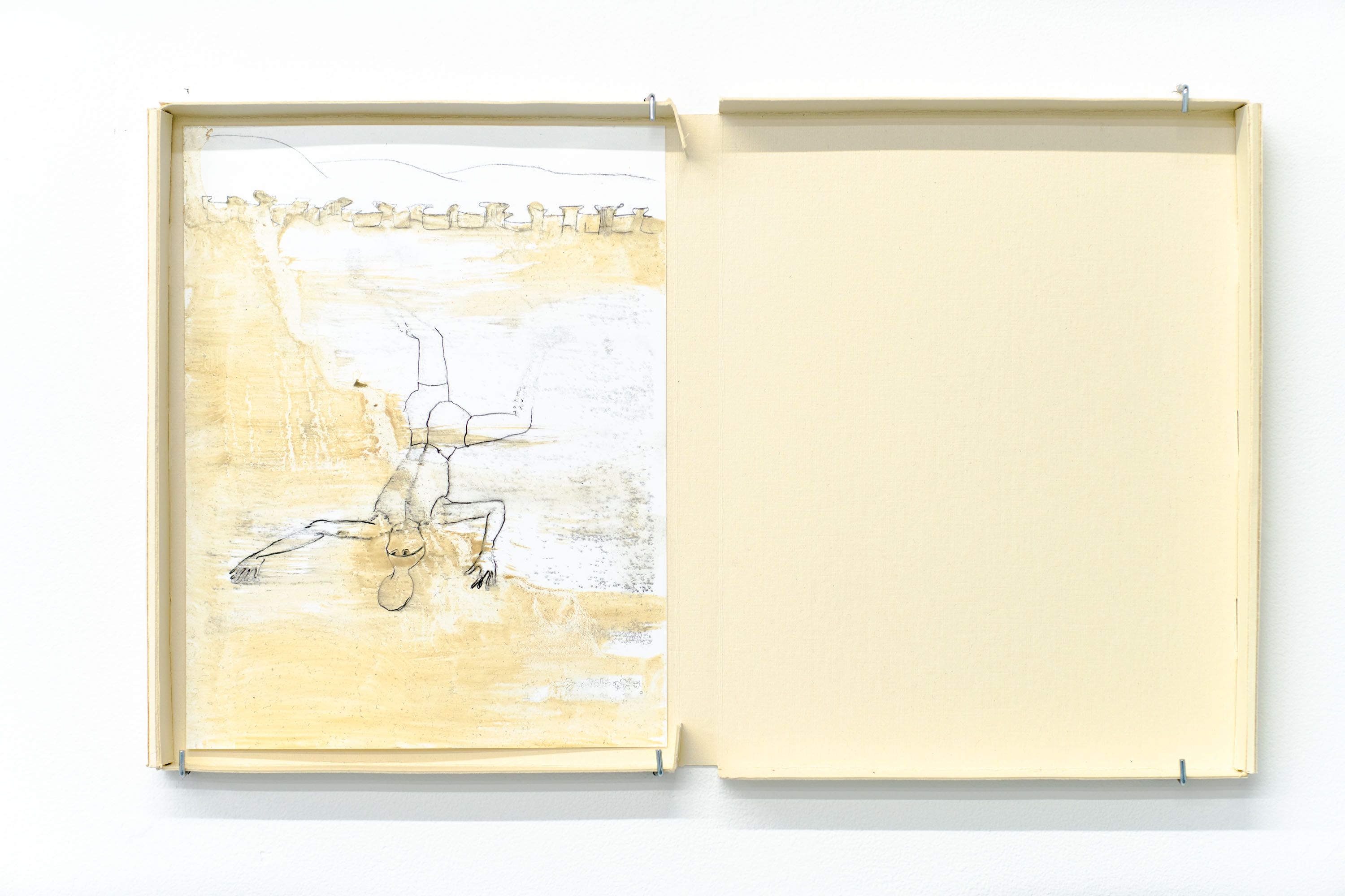 Marissa Lee Benedict and David Rueter, Jackdaw Drowning, 2021, Graphite, linseed oil, and pigment on PET paper, 8.5 x 11 inches