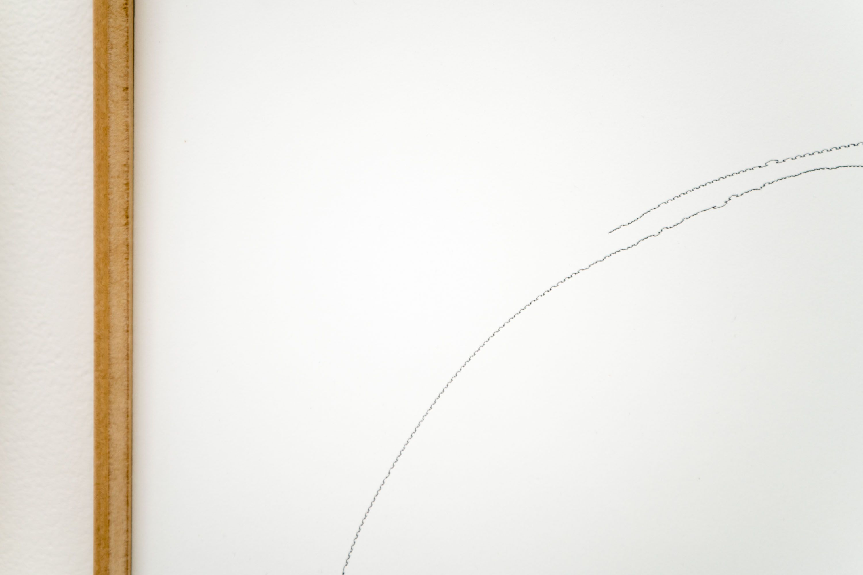 Marissa Lee Benedict and David Rueter, Fortification Theory #1, 2021, Pen on paper, 22 x 30 inches