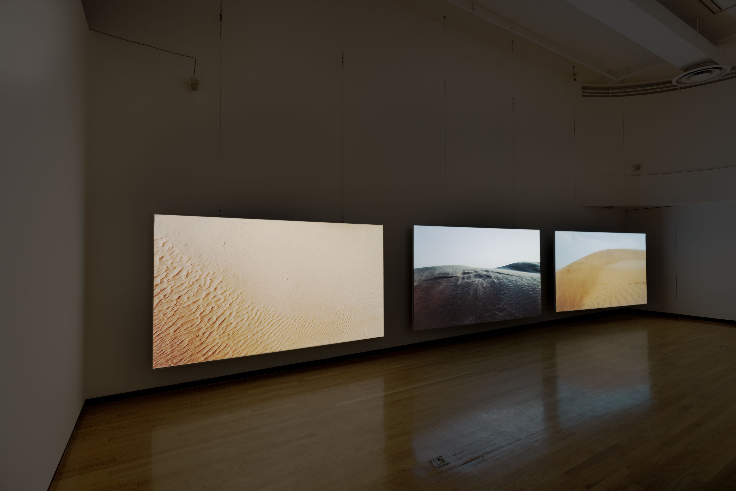I Can Only See Shadows, 2016: Installation view. Marissa Lee Benedict and David Rueter